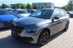 Skoda Kamiq Monte Carlo 1.0 tsi dsg monte carlo pano/tempo/ruckkam
