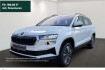Skoda Karoq Tour 2.0 tdi tour led navi pdc kamera shz alu zv