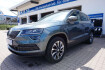 Skoda Karoq Drive 125 drive 125 ahk kamera