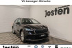 Skoda Enyaq Autres loft 50 led dab carplay kam navi lane