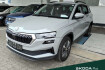 Skoda Karoq Tour 2.0 tdi dsg tour navi*led*shz*pdc