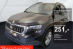 Skoda Karoq Selection 1.5 tsi dsg selection led navi acc pdc kamera shz