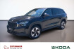 Skoda Kodiaq Selection selction 2.0tdi matrix.nav.dsg.ahk.ambiente.dab+