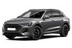 Audi e-Tron  E tron 55 quattro s line acc pano hud massage luft 21?