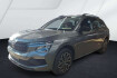 Skoda Kamiq  tour /ahk /navi