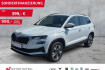Skoda Karoq  2.0tdi dsg tour matrix+nav+acc+shz+rfk+ahk