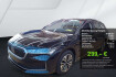 Skoda Superb  combi 2.0 tdi selection matrix led ahk