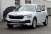 Skoda Kamiq Selection 1.0 tsi dsg selection