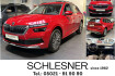 Skoda Kamiq Clever clever *pdc*shz*vc*qi*navi*carplay*lm*l
