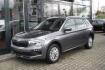 Skoda Kamiq Selection selection 1.0 tsi dsg 1.0 tsi 85kw dsg