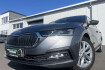 Skoda Octavia Style combi 2.0 tdi dsg style 166? m.20% anz. ahk head