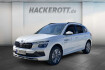 Skoda Kamiq Selection selection 1.5 tsi dsg pano led alu