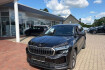Skoda Kodiaq Selection 2.0 tdi selection led navi acc 7 sitze