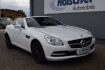 Mercedes SLK Autres Benz slk 200 !automatik! edition navi leder xenon