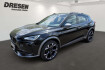 Cupra Formentor VZ vz 2.0 tsi 4drive dsg /parklenkassistent/carplay