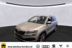 Skoda Karoq Drive 125 2.0 tdi 4×4 drive 125 dsg *stdhz*r cam*