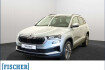 Skoda Karoq Autres 1.5tsi dsg balance matrix navi ahk