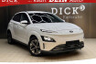 Hyundai Kona Electric Pure Kona werksg+leder+led+navi+head+kam+krel