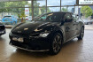 Kia EV6 Autres Ev6 acc*wmp*shz*cam*leder*tempo* fernlichtass*