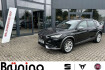 Cupra Formentor Autres 2.0 tdi 4drive ahk navi ruckfahrkamera klima navi
