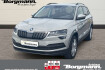 Skoda Karoq Style style tdi dsg lenkradheizung ? tempomat ? sitzheiz