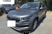 Skoda Kodiaq Style style memory virtcockp kamera dab matrix