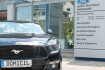 Ford Kuga ST-Line X st line x / fhev / ahk / b&o / panorama