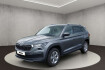 Skoda Kodiaq Style style 7 sitze