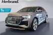Audi Q4 e-tron Autres Q4 e tron 40 s line kamera matrix led sound