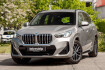 BMW X1 M Sport xdrive20d m sport.dr.ass.pr.ass.shz
