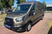 Ford Transit Custom Trend Transit kasten 310 l3 trend+tempom+klima+ahk+++