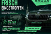 Skoda Kamiq Monte Carlo tour