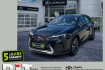 Lexus UX Luxury Ux 250h ux 250 h executive line zuverlassiger crossover