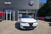 Alfa Romeo Tonale Autres tributo italiano