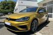 Volkswagen Golf 8 Autres Golf r 4motion (bluemotion technology)