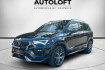 Cupra Ateca Autres ateca  ateca 4drive ahk/scheckh./2h./acc/360 /ttw/led