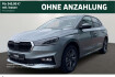 Skoda Fabia Edition balance 1.0 tsi dsg assistenzpaket winterpaket