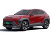 Hyundai Kona Electric Executive Hybrid 138