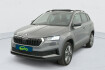 Skoda Karoq Business 2.0 tdi 116 ch scr dsg7