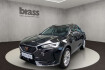 Cupra Formentor Autres 1.5 tsi 7 gang dsg