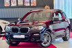 BMW X3 Luxury Line xdrive 30d m sport virtual led navprof 19zoll