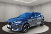 Cupra Formentor VZ Tribe Edition vz navi  full link  kamera  multilenkr
