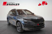 Skoda Karoq Sportline sportline 1.5 tsi dsg apple carplay