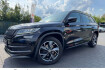 Skoda Kodiaq Sportline sportline *automatik*r kamera*standheiz*