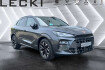Cupra Terramar Autres 1.5 etsi 110 kw *kamera*pdc*full link*memory*