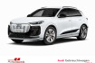 Audi Q6 e-tron Autres Q6 e tron quattro 285 kw b&o matrix led 360