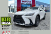 Lexus NX Executive Nx 450h+ executive 360 kamera + headup