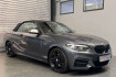 BMW Série 2 Coupé Autres Bmw 240  240 cabrio/ keyless go/navi/vollleder
