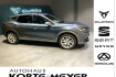 Cupra Formentor VZ 2.0tdi dsg 4drive+led +ahk+acc