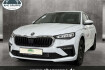 Skoda Scala Essence 1.0 tsi 85kw eu6e essence 6 gang schaltgetr.  led